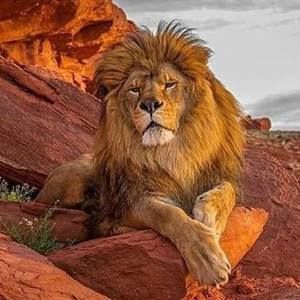 Meet your Posher, Martin